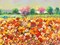 Colori di primavera Poster Print by Luigi Florio - Item # VARPDX3LR2895
